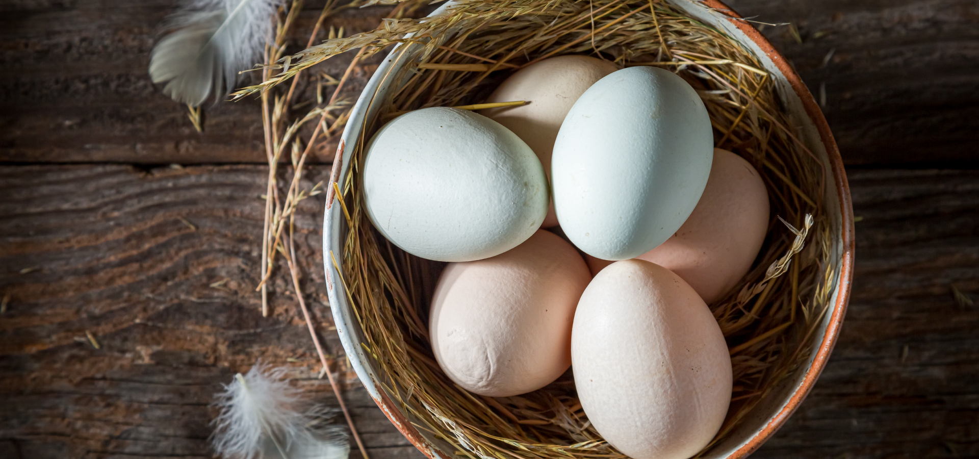 huevos rojos, huevos blancos, los huevos blancos son más nutritivos que los huevos rojos